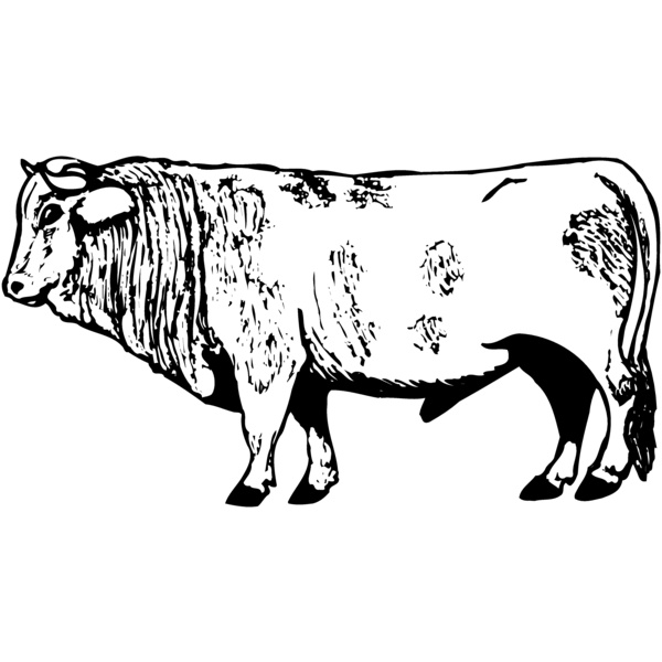 COW014 Thumbnail