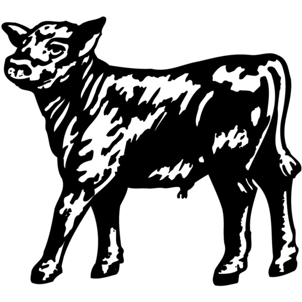 COW025 Thumbnail