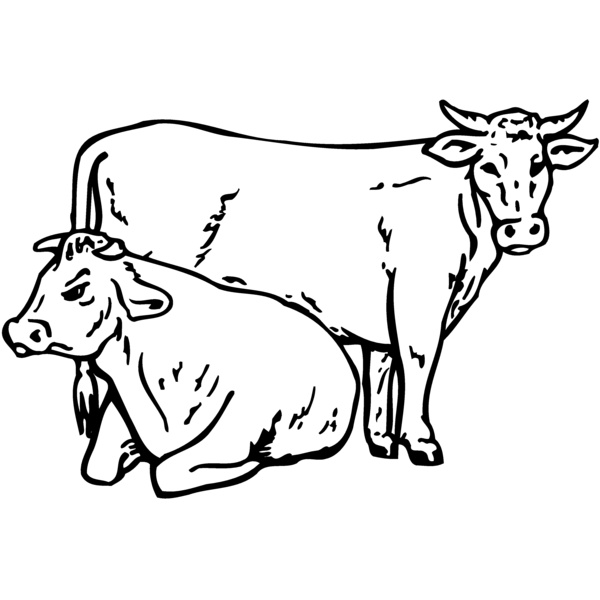 COW027 Thumbnail