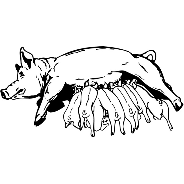 PIGLET01 Thumbnail