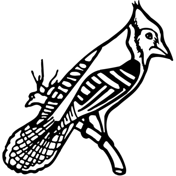 BIRD010 Thumbnail