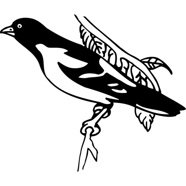 BIRD038 Thumbnail