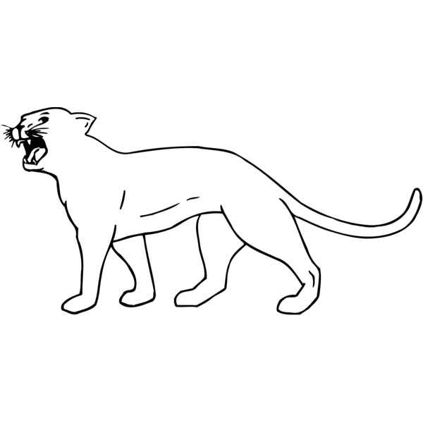 CAT05 Thumbnail
