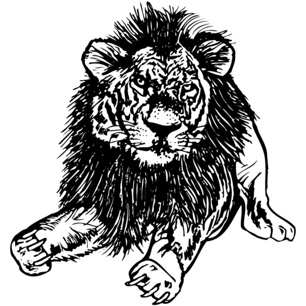 LION005 Thumbnail