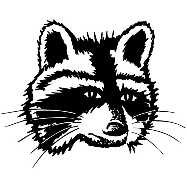 COON005 Thumbnail