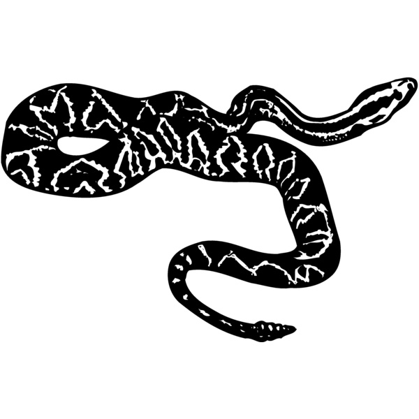 SNAKE007 Thumbnail