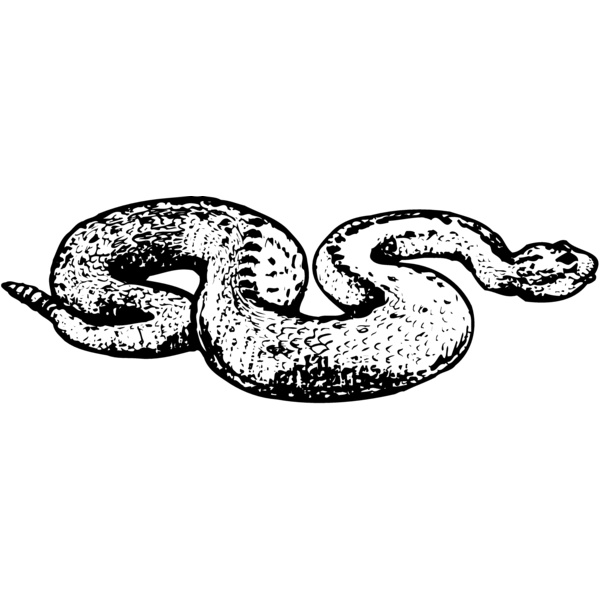 SNAKE018 Thumbnail