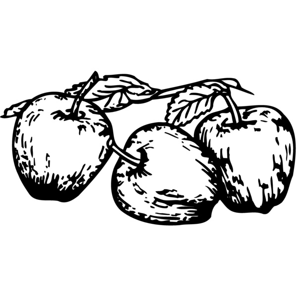 FRUIT018 Thumbnail