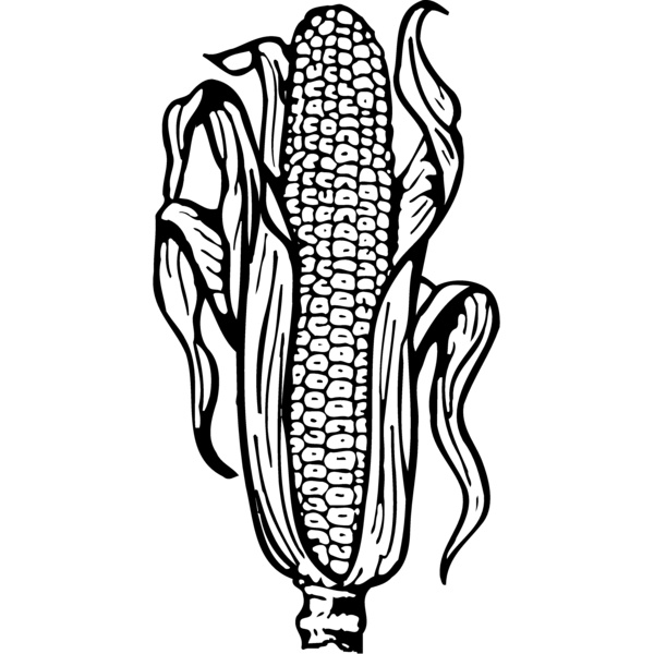 GRAIN001 Thumbnail