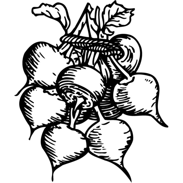 VEG001 Thumbnail