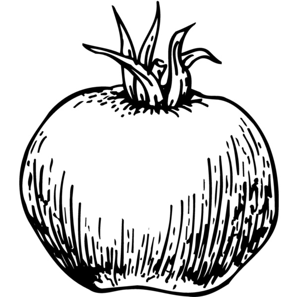 VEG014 Thumbnail
