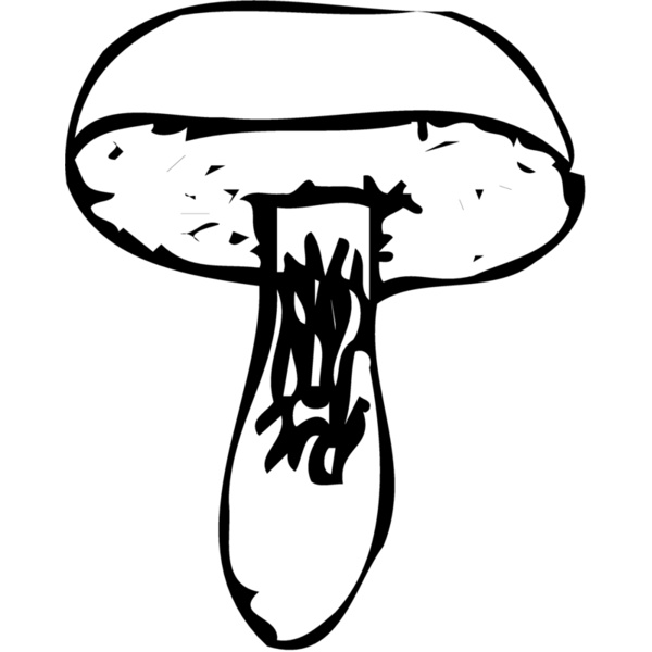VEG028 Thumbnail