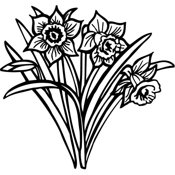 FLOWER26 Thumbnail