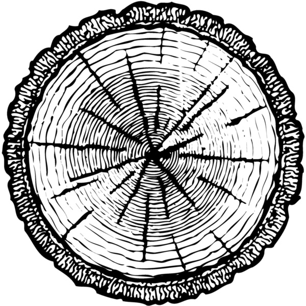 TIMBER04 Thumbnail