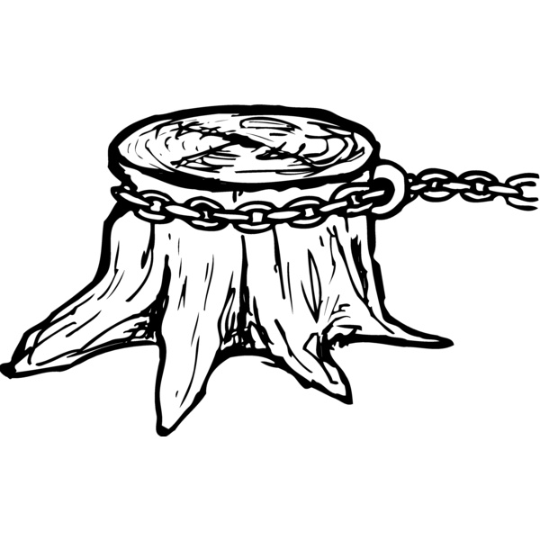 TIMBER15 Thumbnail