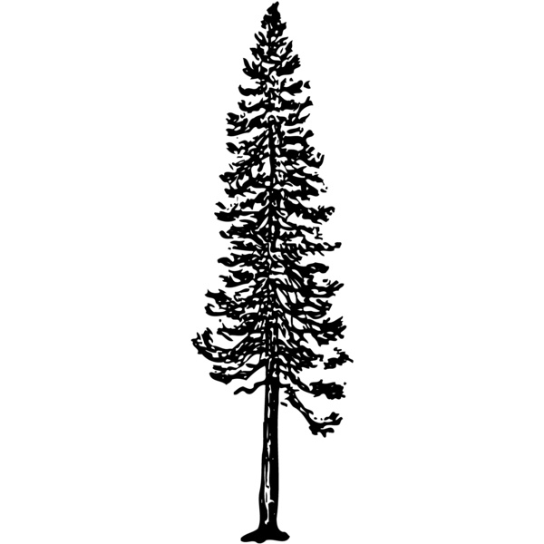 TREE0006 Thumbnail