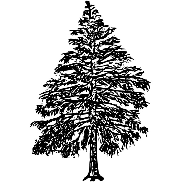 TREE0009 Thumbnail