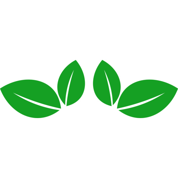 11 Leaves Thumbnail