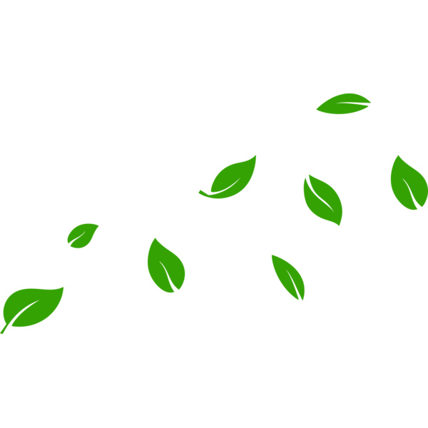13 Leaves Thumbnail