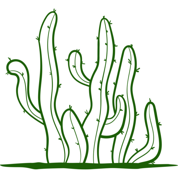 Cactus 2 Thumbnail
