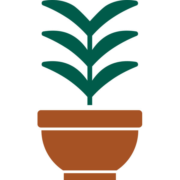 Plant 2 Thumbnail