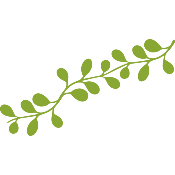 Leaves 13 Thumbnail