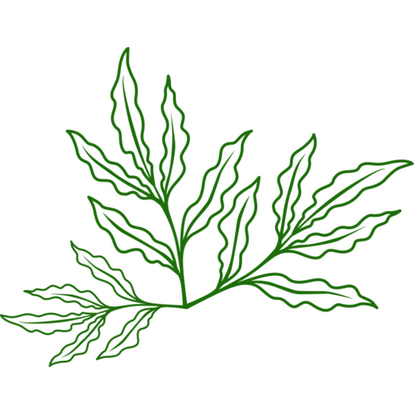 Leaves 7 Thumbnail